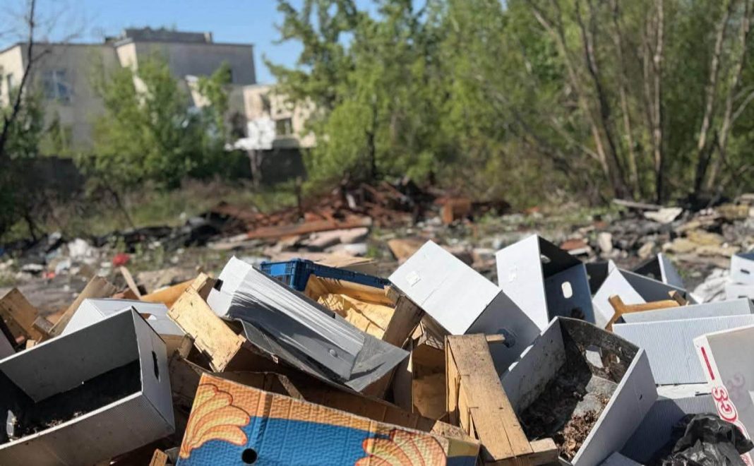 Стихійне звалище будівельних та побутових відходів серед дерев