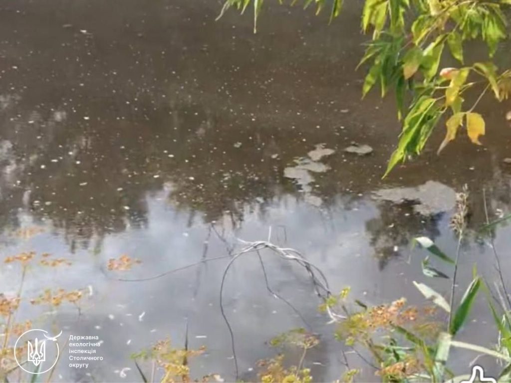 Темні плями на поверхні води біля берега річки