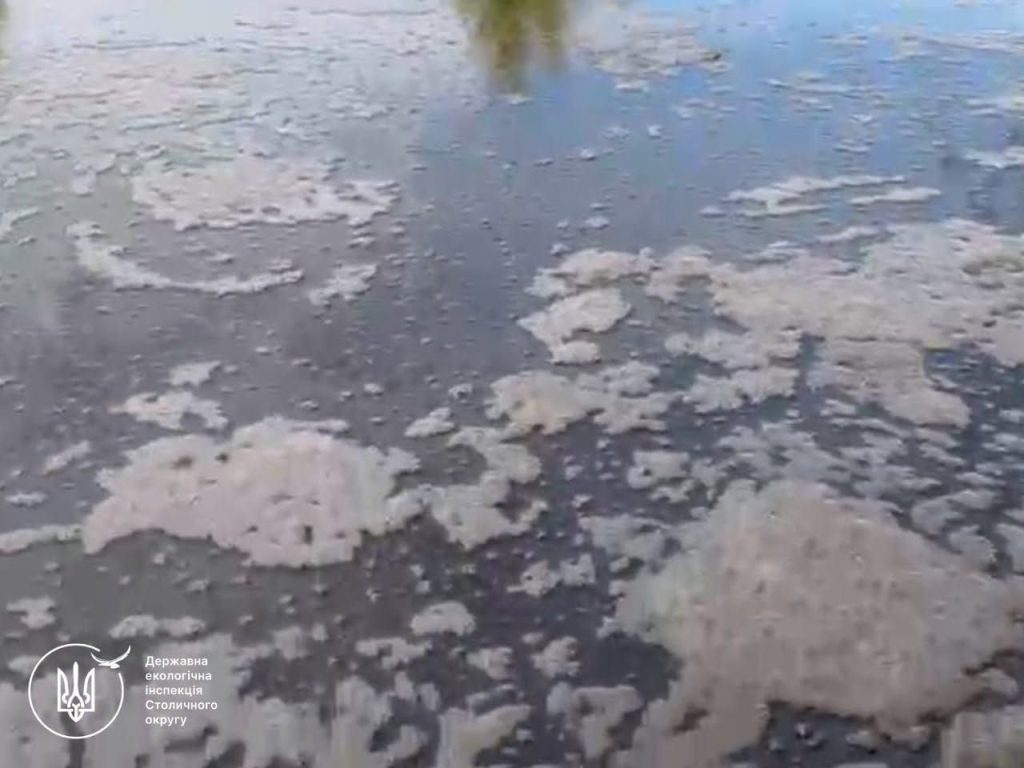 Темні плями на поверхні води біля берега річки